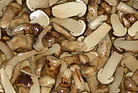 塩漬松茸ホール、スライス、チップ各種